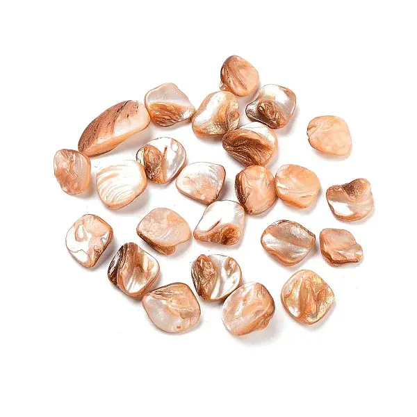 Natural Freshwater Shell Beads