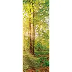 Euroart MALBA NA PLÁTNĚ, krajina a příroda, 30/80/3 cm