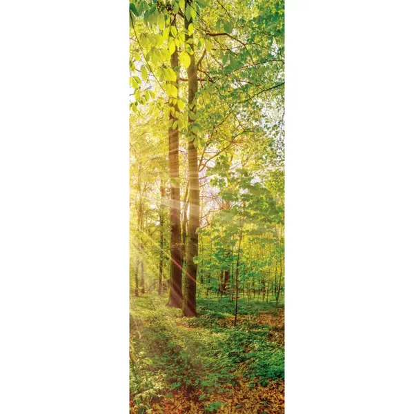 Euroart MALBA NA PLÁTNĚ, krajina a příroda, 30/80/3 cm