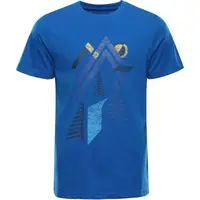 ALPINE PRO NESAD Pánské triko, modrá, velikost