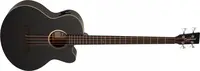 Tanglewood TB7ABCE