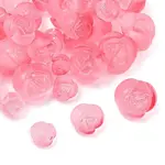 50G Plastic Beads