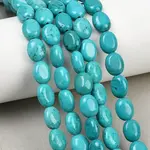 Natural Magnesite Beads Strands