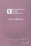 Cesta církve IX