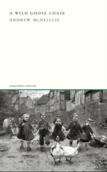 A Wild Goose Chase - Andrew McNeillie