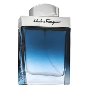 Salvatore Ferragamo Subtil Pour Homme toaletní voda pro muže 30 ml