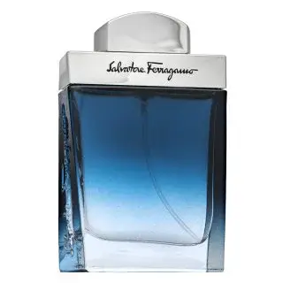 Salvatore Ferragamo Subtil Pour Homme toaletní voda pro muže 30 ml