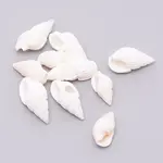 Natural Conch Shell Beads