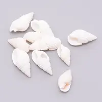 Natural Conch Shell Beads