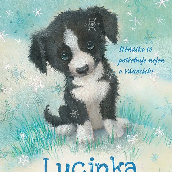 E-kniha: Lucinka a ztracené štěňátko od Boothová Anne