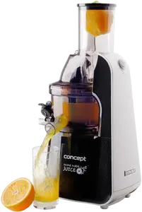 CONCEPT Home Made Juice, Lis na ovoce a zeleninu, černá, LO7067