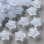Transparent Acrylic Beads