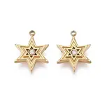 304 Stainless Steel Micro Pave Cubic Zirconia Charms