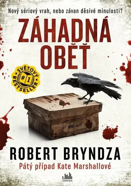 Záhadná oběť (poškozená) - Robert Bryndza