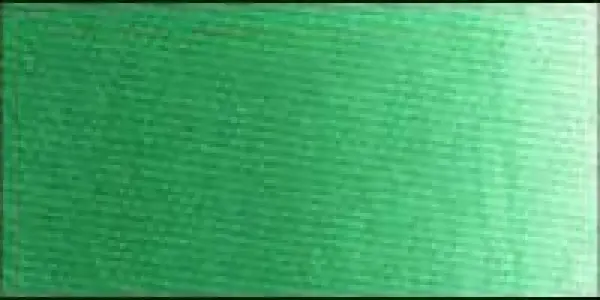 Olejová barva Old Holland 40ml – 277 Permanent Green Light