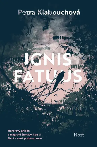Ignis fatuus (poškozená) - Petra Klabouchová