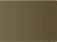 Pastel Caran d'Ache Neocolor I 049 Raw umber