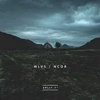 No Chance Of Recovery – GOOD TIMES / BAD CHOICES