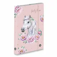 Box na sešity oxybag Kůň romantic - A4 JUMBO