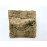 ATG pozadí do terária 20x20 cm