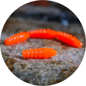 Redbass gumová nástraha trout grub signal orange uv color - 3x16 mm