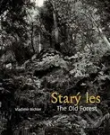 Starý les / The Old Forest - Vladimír Bichler