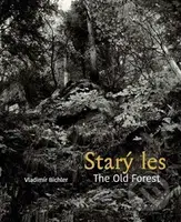 Starý les / The Old Forest - Vladimír Bichler