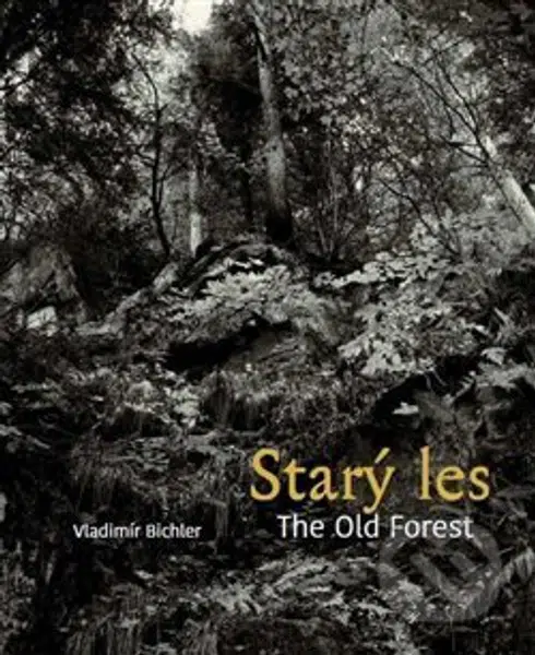 Starý les / The Old Forest - Vladimír Bichler