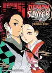 Demon Slayer: The Official Coloring Book (Kimetsu no Yaiba) - kniha z kategorie Komiksy