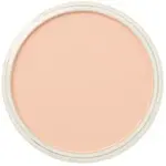 PanPastel 9ml – 380.8 Red Iron Oxide Tint