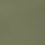 Akrylová barva Basics 22ml – 205 green gray
