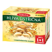 Terezia Company Hlíva ústřičná s rakytníkovým olejem 60 + 60 kapslí - Limitovaná edice