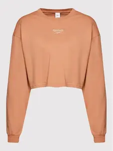 Reebok - Pánské dlouhý rukáv CL WDE
