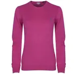 Pánská mikina US Polo Assn.