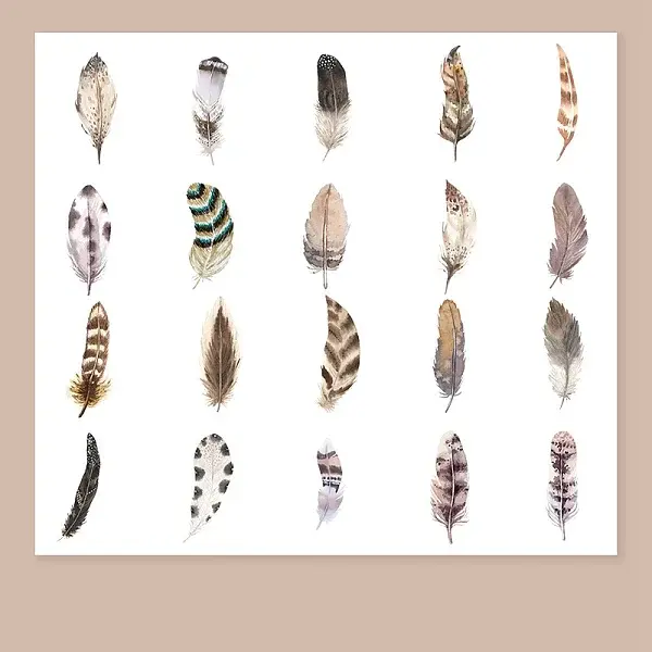 Feather Shape PET Sticker