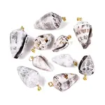 Brass & Natural Cone Shell Pendants