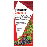 SALUS Floradix železo+ sirup 500 ml