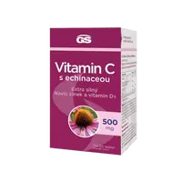 GS Vitamin C s echinaceou 100 tablet
