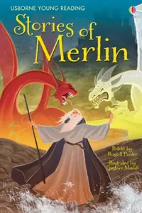 Stories of Merlin - Russell Punter