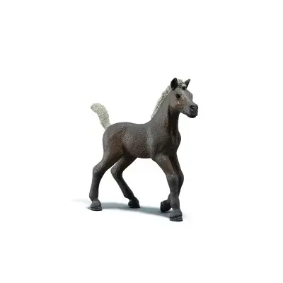 Sběratelské hříbě Darcy
