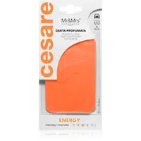 Mr & Mrs Fragrance Cesare Energy vonná visačka 1 ks