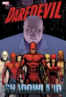 Daredevil: Shadowland Omnibus Cassaday Cover (New Printing) - Andy Diggle, Antony Johnston, Zeb Wells