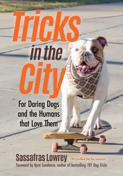 Tricks in the City - Sassafras Lowrey