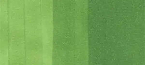 Copic sketch marker - YG17 grass green