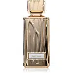 Hamidi Envy Gold parfémovaná voda pro ženy 100 ml