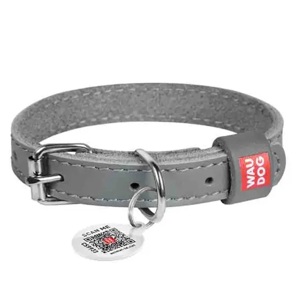 WAUDOG Classic Kožený obojek pro psy šedý, Velikost: XXS