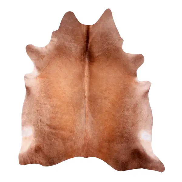 HOVĚZÍ KOŽEŠINA,