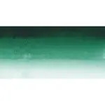 Akvarelová barva Sennelier 1/2 – 899 Forest Green