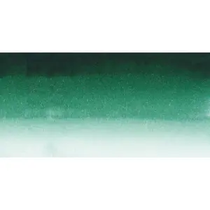 Akvarelová barva Sennelier 1/2 – 899 Forest Green