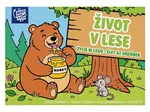 Omalovánky MFP Život v lese